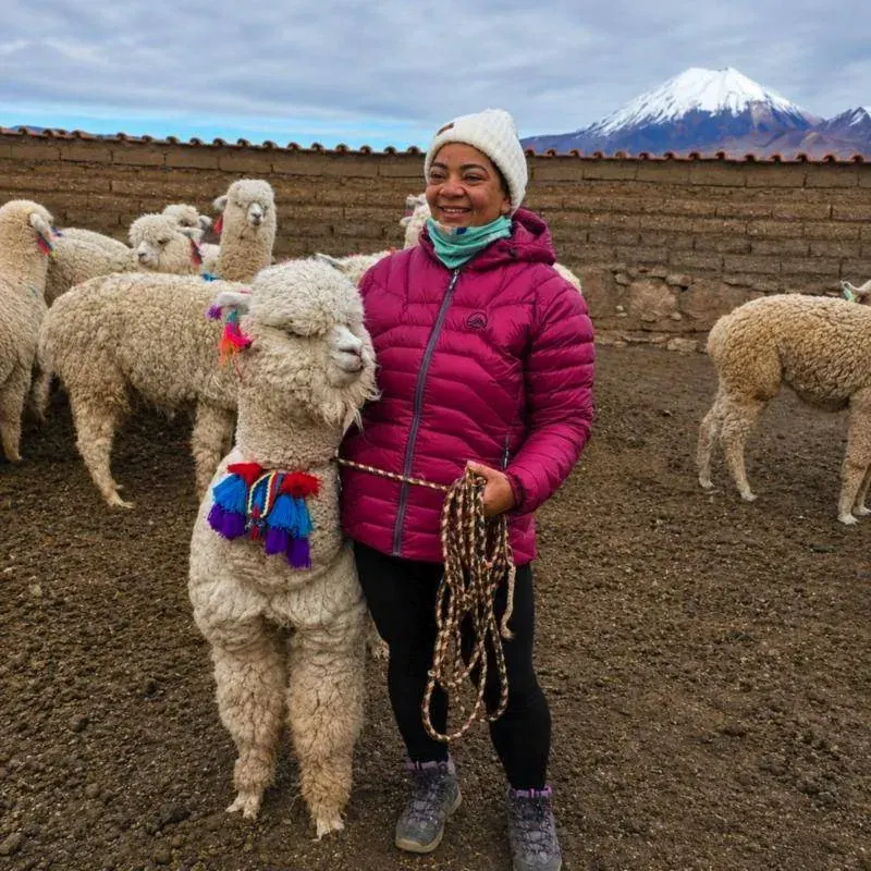 Tour cultural en el Parque Nacional Sajama